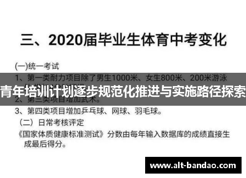 青年培训计划逐步规范化推进与实施路径探索