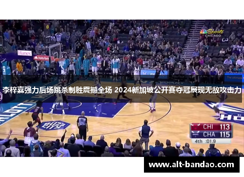 李梓嘉强力后场跳杀制胜震撼全场 2024新加坡公开赛夺冠展现无敌攻击力