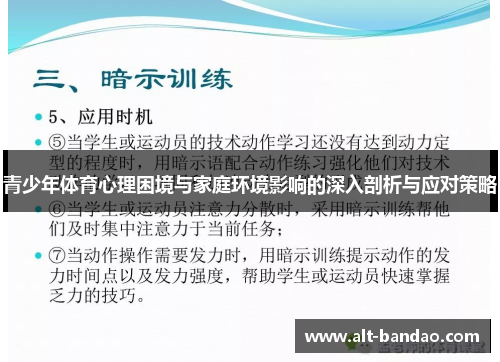 青少年体育心理困境与家庭环境影响的深入剖析与应对策略