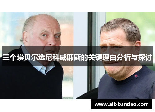 三个埃贝尔选尼科威廉斯的关键理由分析与探讨