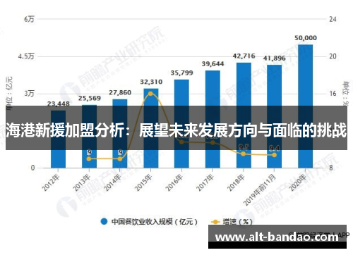 海港新援加盟分析：展望未来发展方向与面临的挑战
